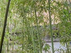 -恭王府博物馆