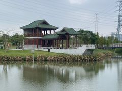 -王借岗森林公园