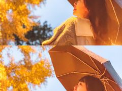 -三里屯东五街银杏大道