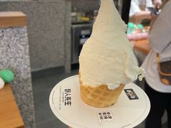 -野人先生Gelato(上海长宁龙之梦店)
