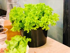 -郑阿姨的家·이모네·韩料&烤肉(武川路店)