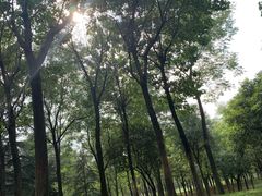 -洨河生态公园