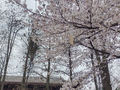 -堤角公园