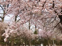 -吉林大学(南岭校区)