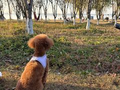 -阳澄湖半岛旅游度假区