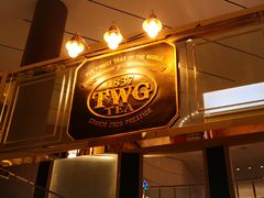 -新加坡瑞士史丹福酒店