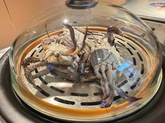-渔港甄宴·海鲜·地标烟台菜(金沙滩店)