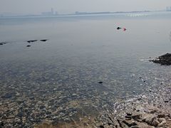 -养马岛旅游度假区