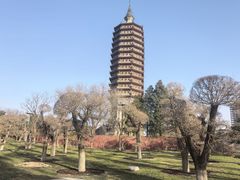 -西海子公园
