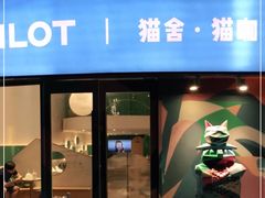 门面-飞行喵MR PILOT|猫舍·猫咖(静安大融城店)