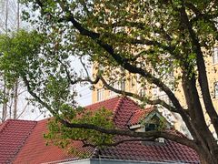 -徐家汇源景区-衡山公园