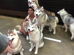 -TrueLove @ Neverland (Husky Cafe)