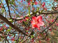 -眉山湿地公园(东坡区)