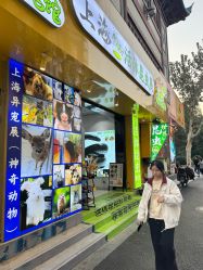 点击看大图 -神奇动物撸宠馆·羊驼·小浣熊·异宠(豫园店)