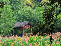 -重庆彩云湖湿地公园