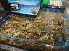 -东海怡品海鲜豆捞(舟宿夜江店)