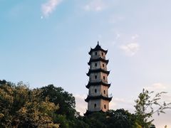 -江心屿景区