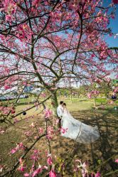 -太古映画婚纱摄影(天河店)