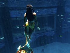 -三亚海昌梦幻海洋不夜城