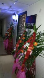 点击看大图 -HD HAIR STYLE