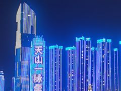 -武汉两江游览·夜游长江(汉口粤汉码头)