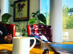 -莫内艺术岛海景咖啡