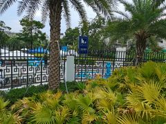 -宝安西湾红树林湿地公园