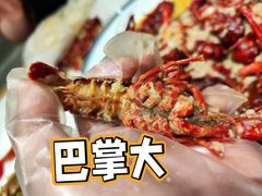 -杨氏青龙虾·羊蝎子(托乐嘉店)