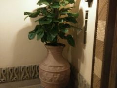 android_upload_pic-三亚亚龙湾凯莱仙人掌度假酒店