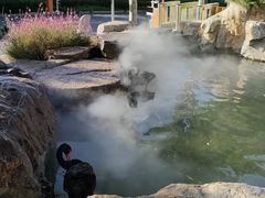 -静之湖度假区