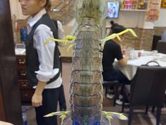 -凤城礼记鱼翅海鲜酒家(新马路总店)
