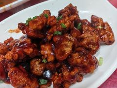 -品雅轩农家乐
