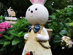 -上海共青森林公园