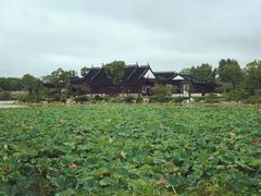 iphone_upload_pic-上海海湾国家森林公园