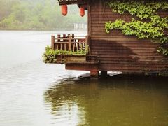 -观澜山水田园