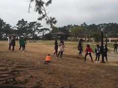 -龙头岩(Dragon Head Rock)