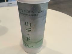 -雾与山茶(大禹城店)