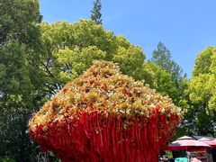 -狼山风景名胜区