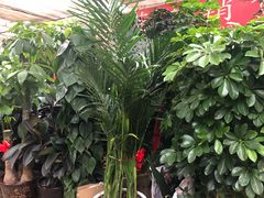 -秦美花卉(天朗·莱茵小城2期店)
