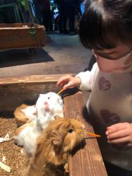 -酷嗒动物文化乐园(cutezoo西溪乐天城店)