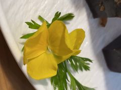 -船歌·鱼水饺青岛菜(枫蓝国际购物中心店)