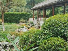 -杭州雅谷泉山庄酒店-餐厅