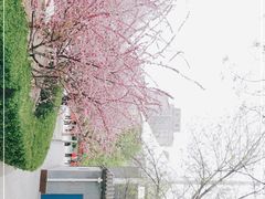-丰台花园