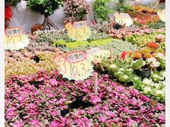 -秦美花卉(天朗·莱茵小城2期店)