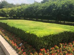 -嘉定紫藤园