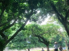-广州长隆飞鸟乐园