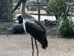 -费瑟代尔野生动物园