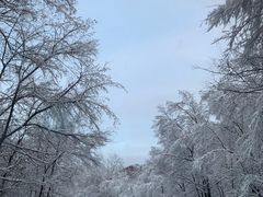 -富龙滑雪场