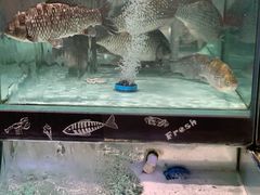 -中百仓储(常青路店)