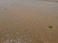 -北戴河东海水浴场